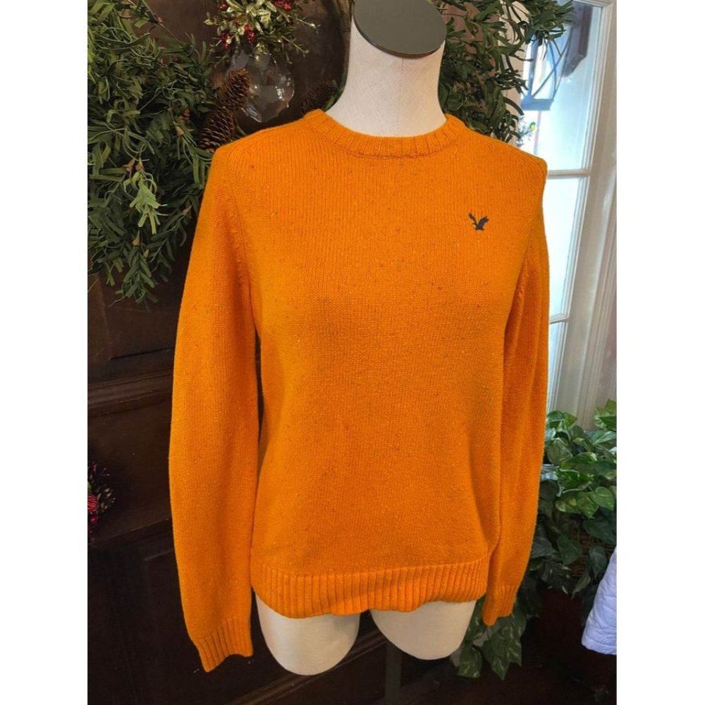 American Eagle Outfitters Orange Crewneck Sweater